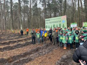 Цієї весни висадили п’ять мільйонів дерев